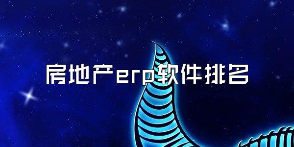 房地产erp软件排名