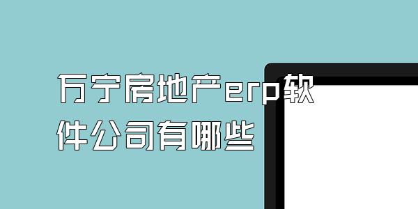 万宁房地产erp软件公司有哪些