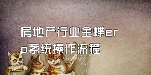 房地产行业金蝶erp系统操作流程