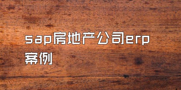 sap房地产公司erp案例