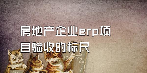 房地产企业erp项目验收的标尺