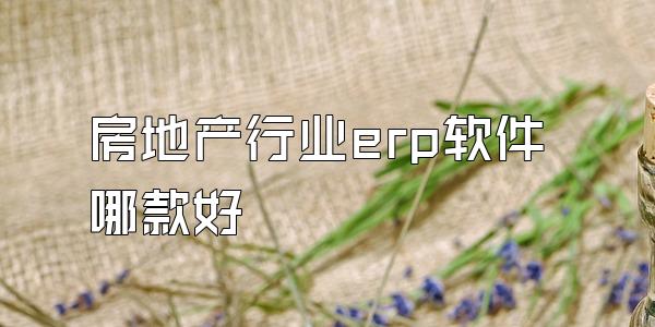 房地产行业erp软件哪款好