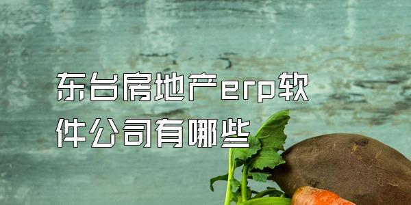 东台房地产erp软件公司有哪些