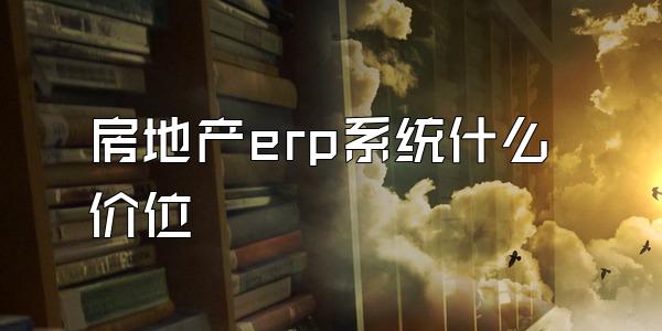 房地产erp系统什么价位