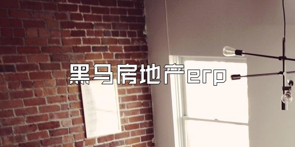 黑马房地产erp
