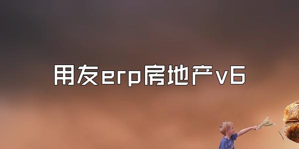 用友erp房地产v6