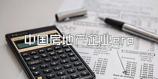 中国房地产企业erp