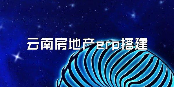 云南房地产erp搭建
