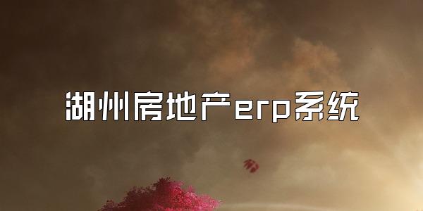 湖州房地产erp系统