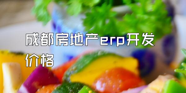 成都房地产erp开发价格