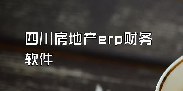 四川房地产erp财务软件