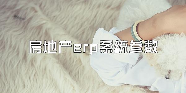 房地产erp系统参数