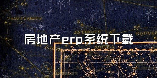 房地产erp系统下载