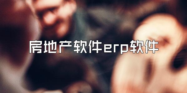 房地产软件erp软件