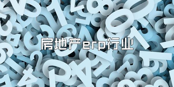 房地产erp行业