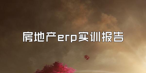 房地产erp实训报告