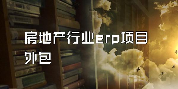 房地产行业erp项目外包