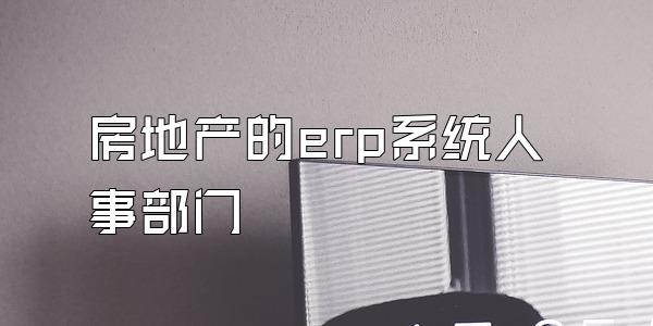 房地产的erp系统人事部门
