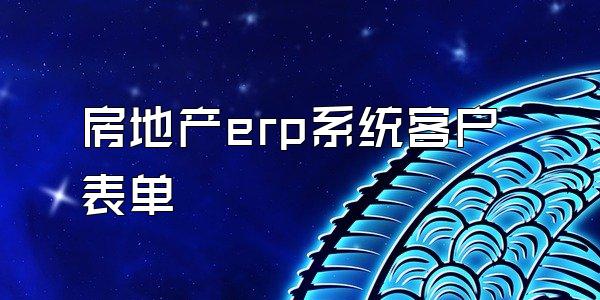 房地产erp系统客户表单
