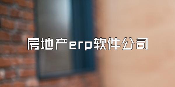 房地产erp软件公司