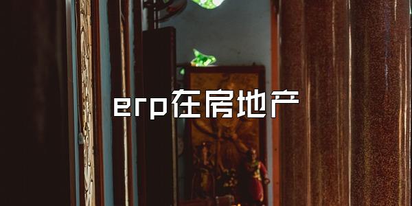 erp在房地产