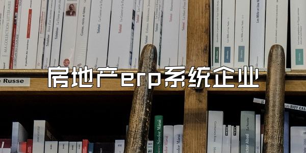 房地产erp系统企业