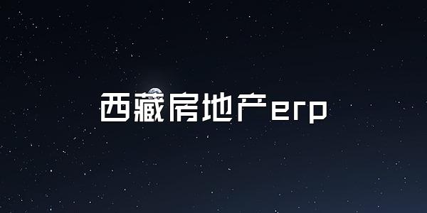 西藏房地产erp