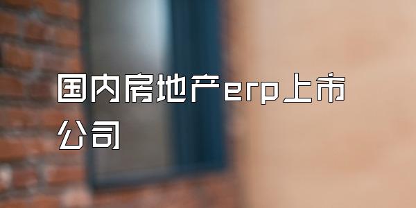 国内房地产erp上市公司
