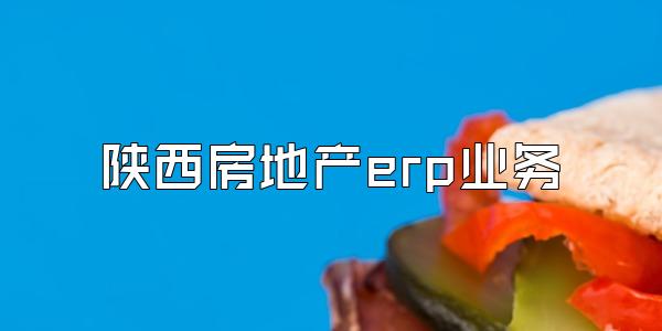 陕西房地产erp业务