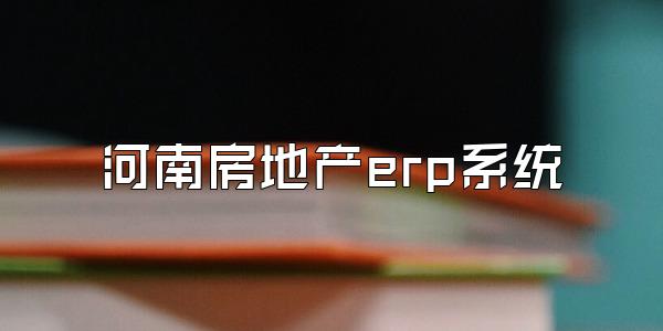 河南房地产erp系统