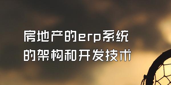 房地产的erp系统的架构和开发技术