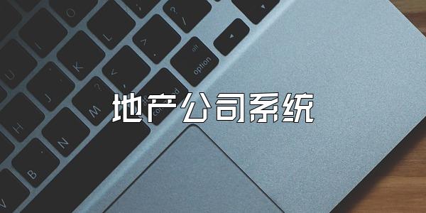 地产公司系统
