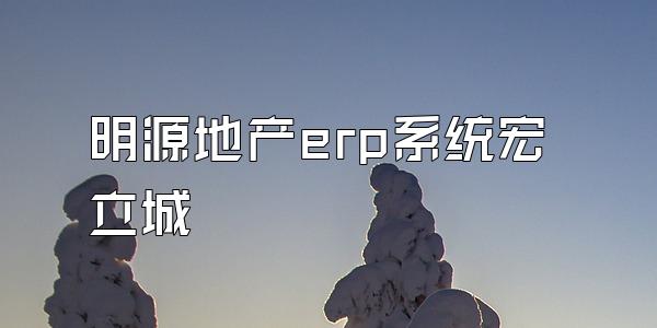 明源地产erp系统宏立城