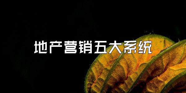 地产营销五大系统