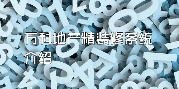 万科地产精装修系统介绍