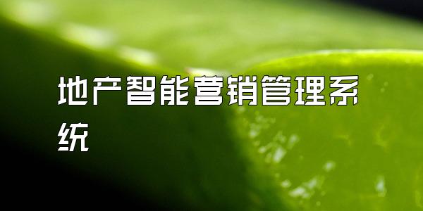 地产智能营销管理系统