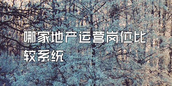 哪家地产运营岗位比较系统