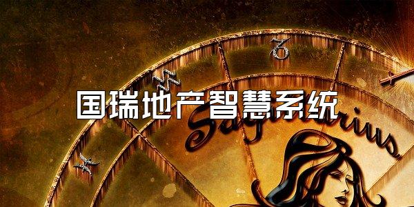 国瑞地产智慧系统
