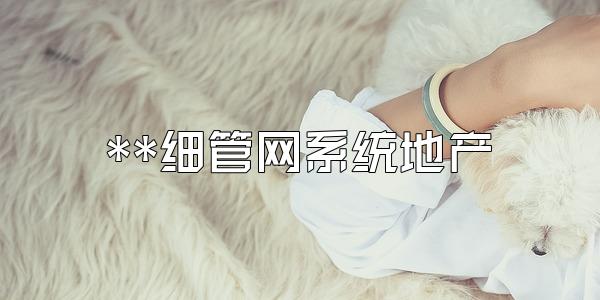 **细管网系统地产