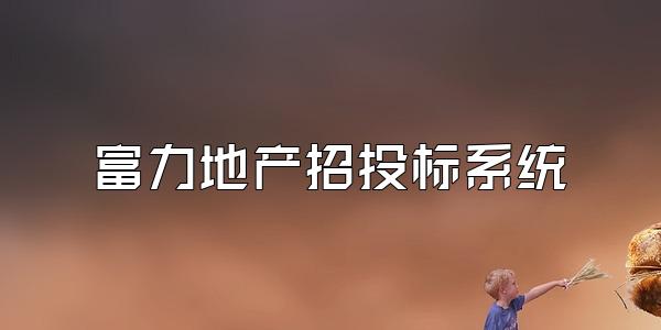 富力地产招投标系统