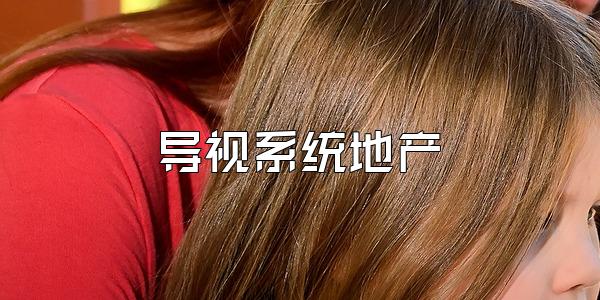 导视系统地产