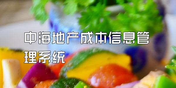 中海地产成本信息管理系统