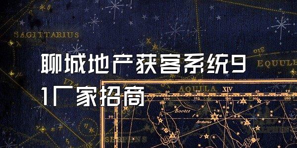 聊城地产获客系统91厂家招商