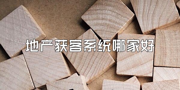 地产获客系统哪家好