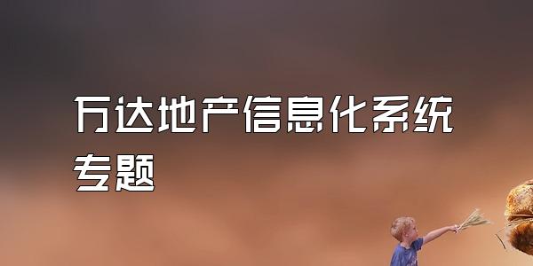 万达地产信息化系统专题