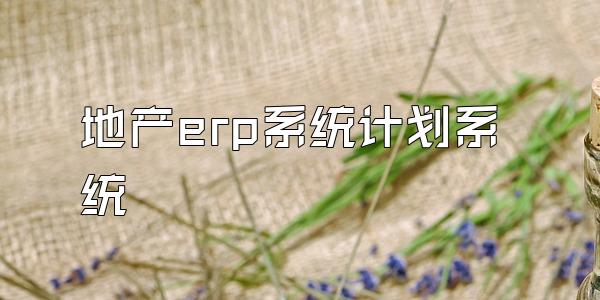 地产erp系统计划系统