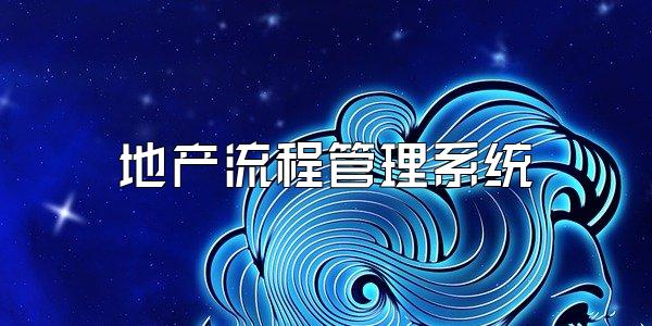 地产流程管理系统