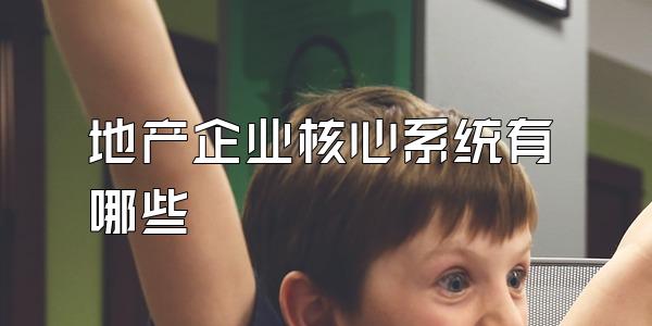 地产企业核心系统有哪些