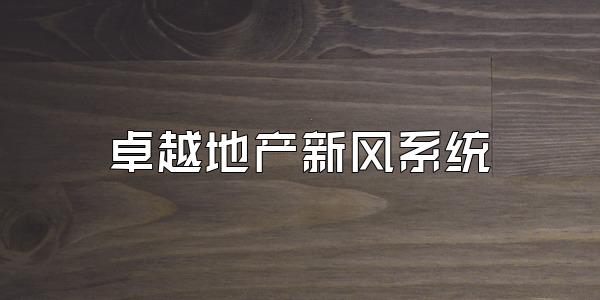 卓越地产新风系统