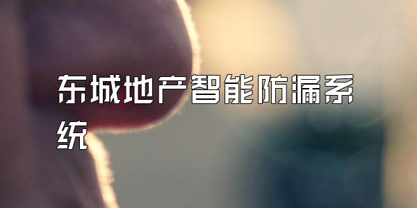 东城地产智能防漏系统